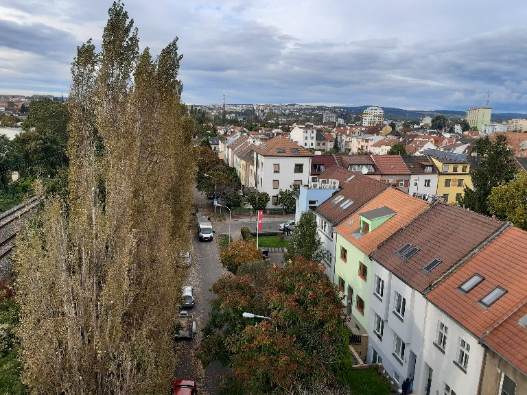 Urban forestry stabilizační řezy