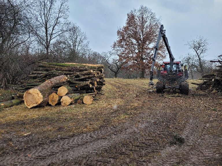 Urban forestry