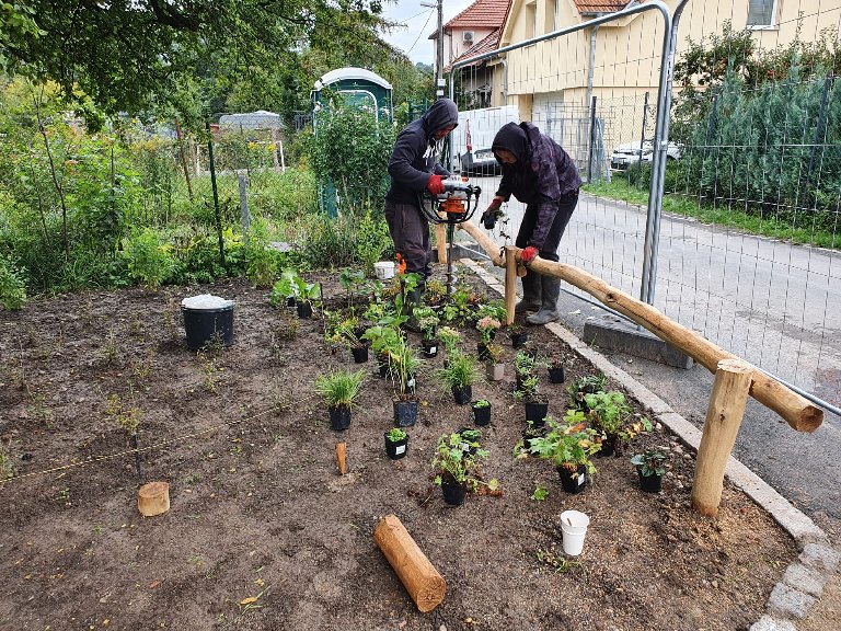 Urban forestry